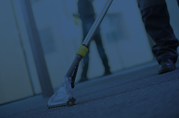 Capet maintenance service