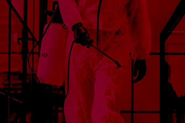 Office Disinfectant cleaning service